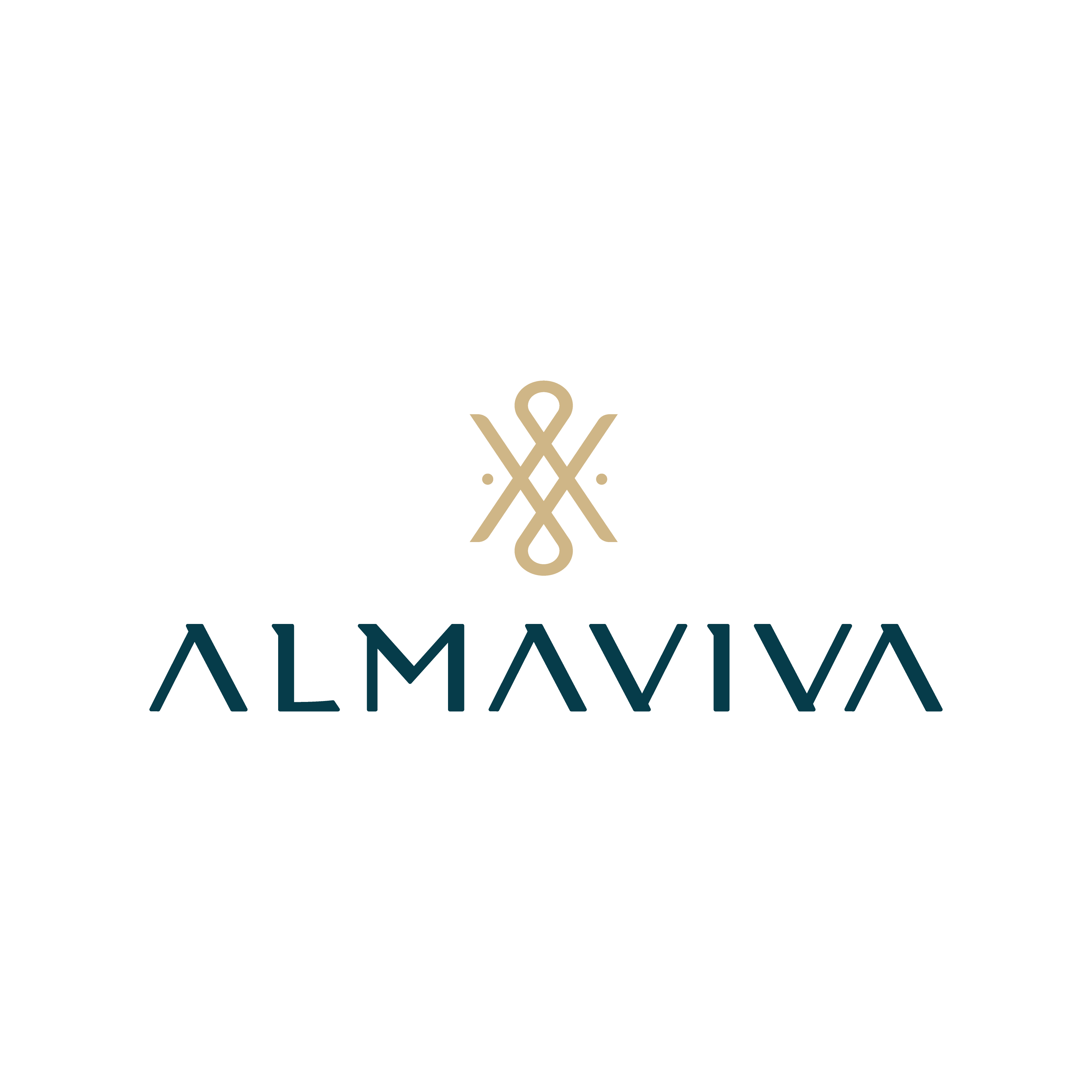 Desarrollos Almaviva